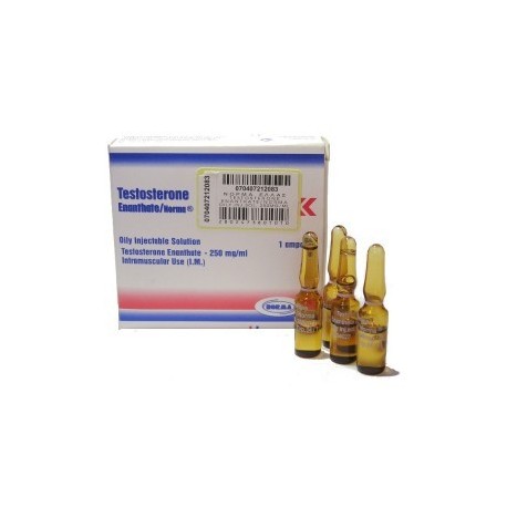 La Testostérone Énanthate Norma Hellas